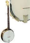 goldtone banjos at great prices